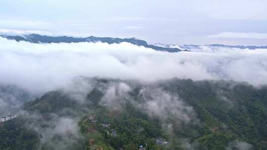 大雾清晨云雾大山云海森林自然云山脉山区