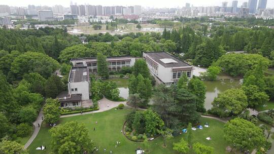 上海植物园航拍品种绿色植被4K航拍