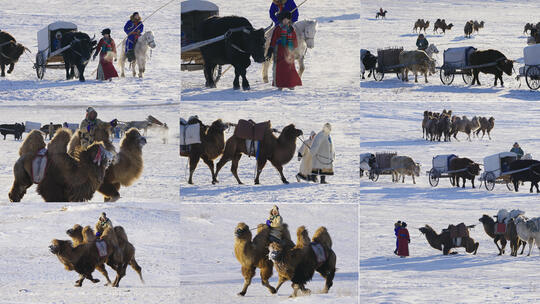 【10条合集】蒙古族民俗传统文化-52高清在线视频素材下载