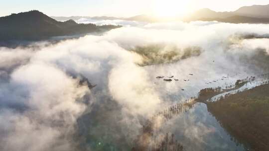 宁国 宣城秋天 落羽杉 山水中国 红杉林