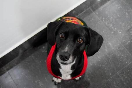 回家的路上 回家 路上 温暖 亲密 回家的路上 回家 路上 温暖 亲密