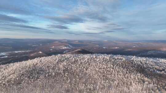 大兴安岭冬季黄昏林海雪原