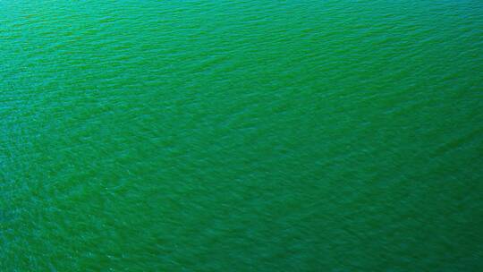 碧绿的水面