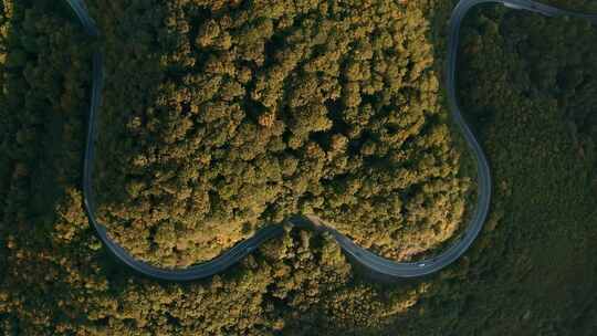 汽车自驾行驶在山地森林盘山公路中