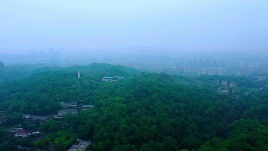 晨雾弥漫的西湖景区