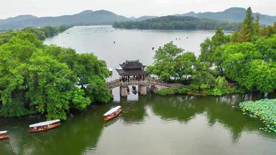 杭州西湖曲院风荷游船