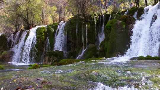 九寨沟箭竹海瀑布水中青苔流水岩石秋天水景