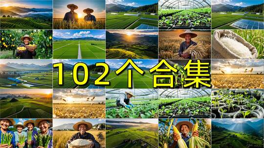 农业丰收乡村振兴现代生产农民