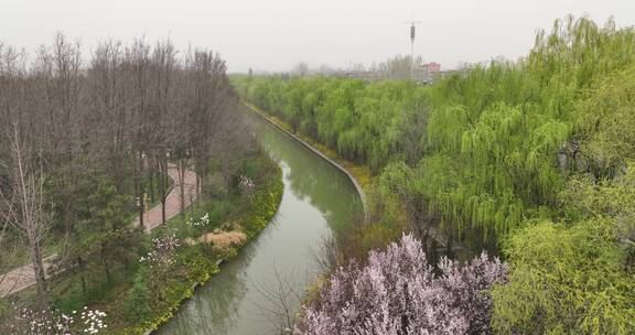 洛阳隋唐遗址植物园开元大道春天公园道路