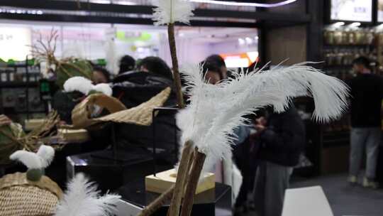 北京顺义新国展宠物展览视频延时素材合集视频素材模板下载