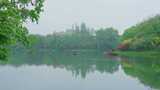 杭州西湖浴鹄湾春天湖面上的手划船高清在线视频素材下载