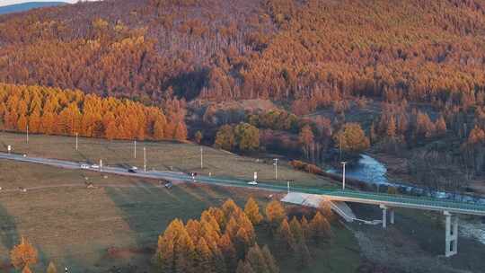 4K航拍大兴安岭秋天旅行阿尔山