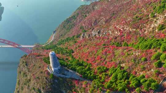 三峡红叶