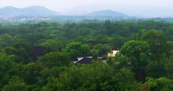 杭州西溪湿地夏天云雾风光