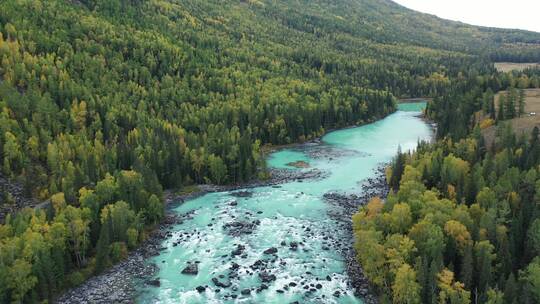 新疆喀纳斯河湍急的水流视频素材模板下载