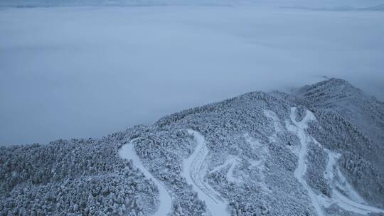 杭州临安大明山牵牛岗森林雪景云海航拍