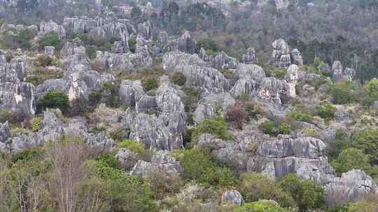 航拍云南景区风景石林风景区蓝天白云春旅游