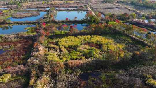 杭州余杭区北湖草荡湿地秋天风光航拍