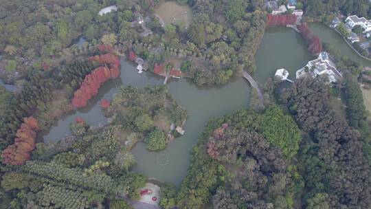 广州天河华南植物园森林航拍视频素材模板下载