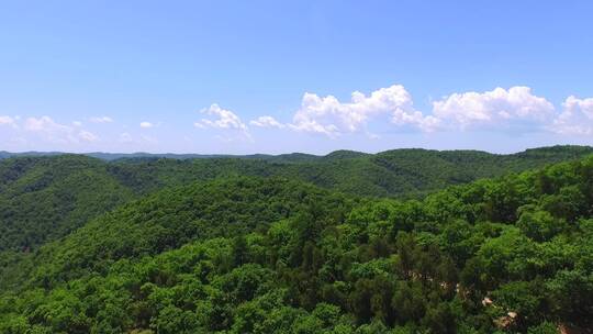 夏天航拍子午岭林区大景5