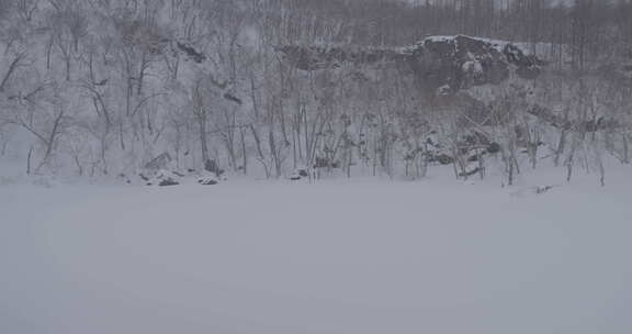 被白雪覆盖的树林和岩石景观