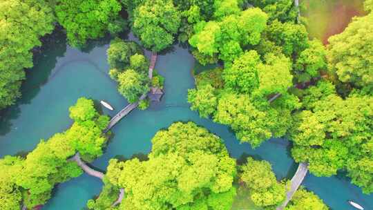 杭州西湖春天湿地江南手划船自然风景航拍
