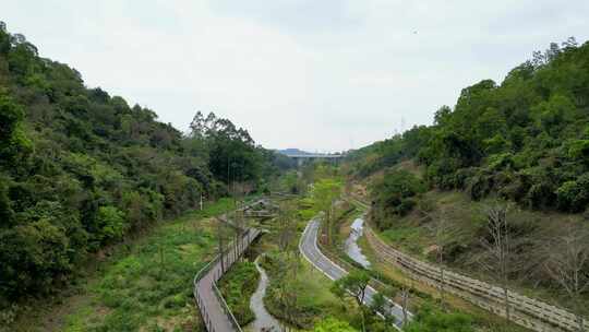 航拍深圳龙岗甘坑河湿地公园