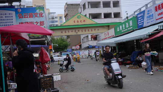 云南水木花野生菌交易市场