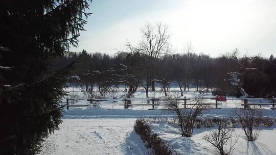 雪后的自然景观