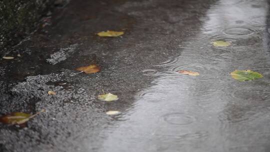 雨滴快速落在水坑上的涟漪视频素材模板下载