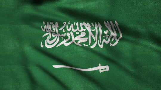 沙特阿拉伯的波浪旗在风中徐徐飘扬着五颜六