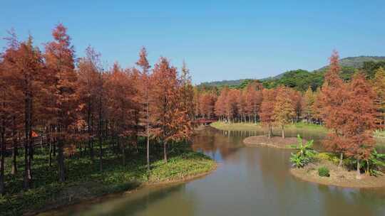 龙岗红花岭公园