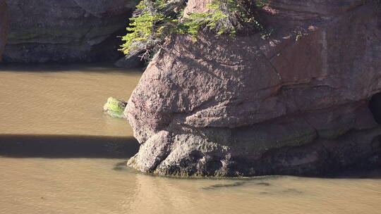 加拿大芬迪湾岩石景观 视频素材模板下载
