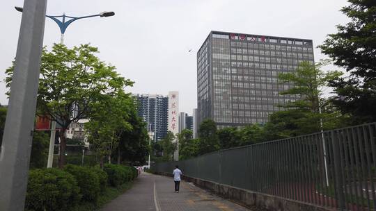 西丽大学城 南方科技大学