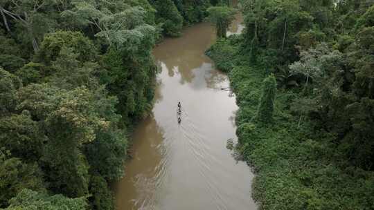 白天在丛林中的亚马逊河上乘船巡航的空中天桥人视频素材模板下载