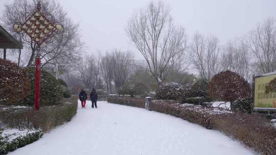 4k下雪天公园里落满雪的道路上的行人