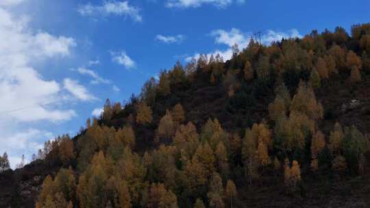 四川九寨沟彩林秋景和蓝色海子