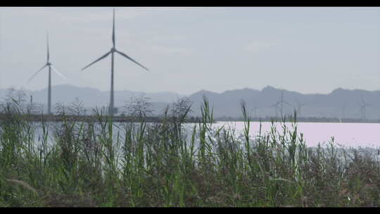 官厅湖 随风微微晃动的小草 风力发电机视频素材模板下载
