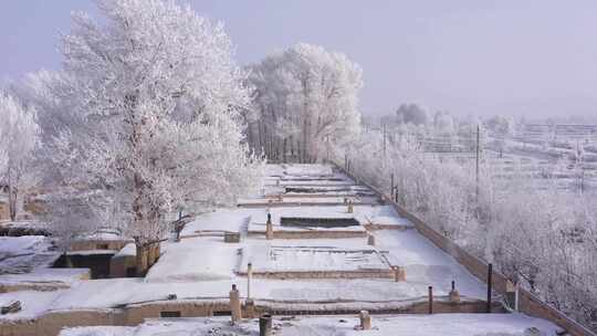 乡村田园雾凇雪景