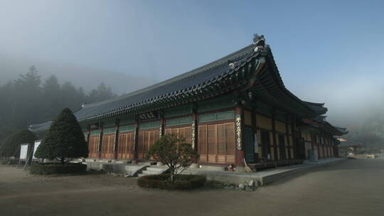 韩国五台山月精寺深秋晨景 寺院 大殿 雾气