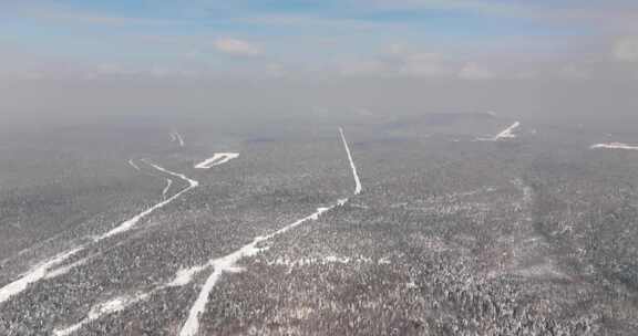 广阔雪林全景