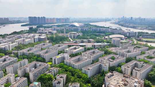 大学城航拍广州国际生物岛