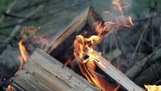 在室外燃烧废木料视频素材模板下载