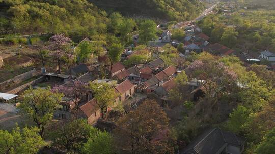 航拍威海里口山王家疃村初夏的村居房屋