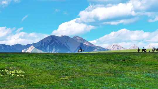 草原骑马治愈系风景