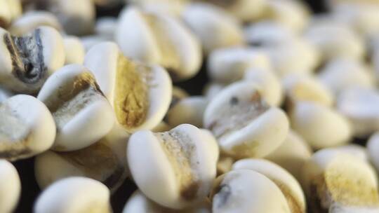 微距薏米薏苡仁