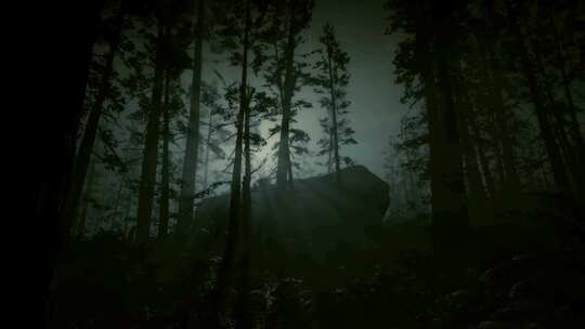 森林中的恐怖场景，黑夜，月光，神秘的树木