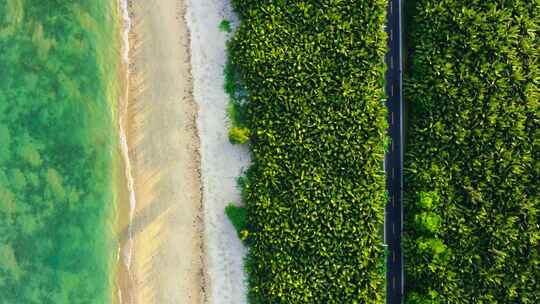 4K航拍海南博鳌红石滩海边椰林公路