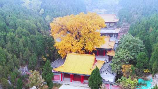 山东济南淌豆寺秋天航拍寺庙