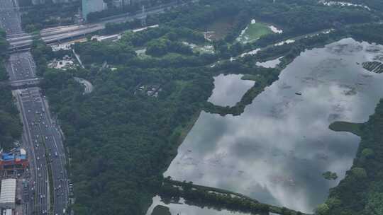 深圳湾红树林蓝天白云